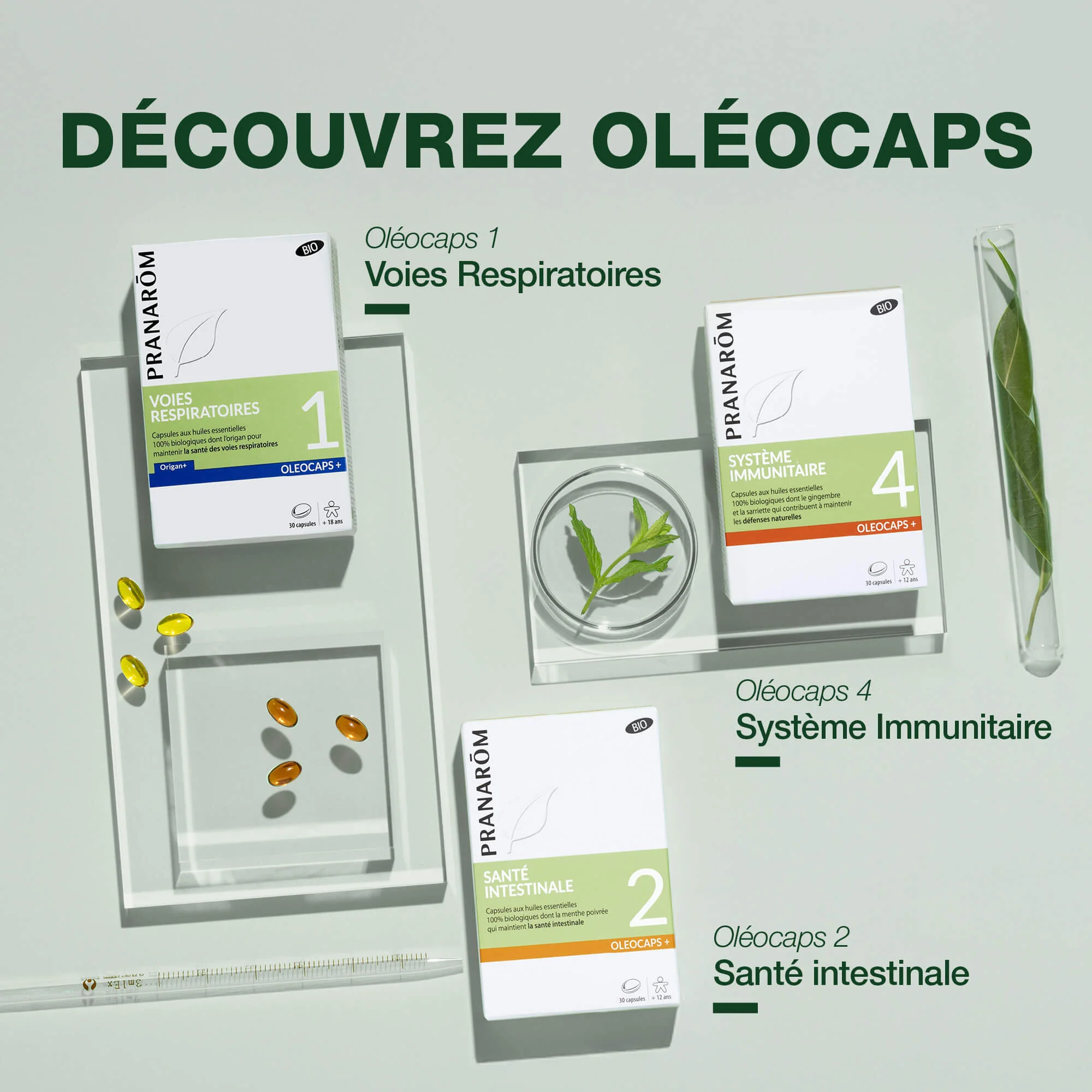 Oleocaps 4 - Capsules Système immunitaire - Bio - Image 6