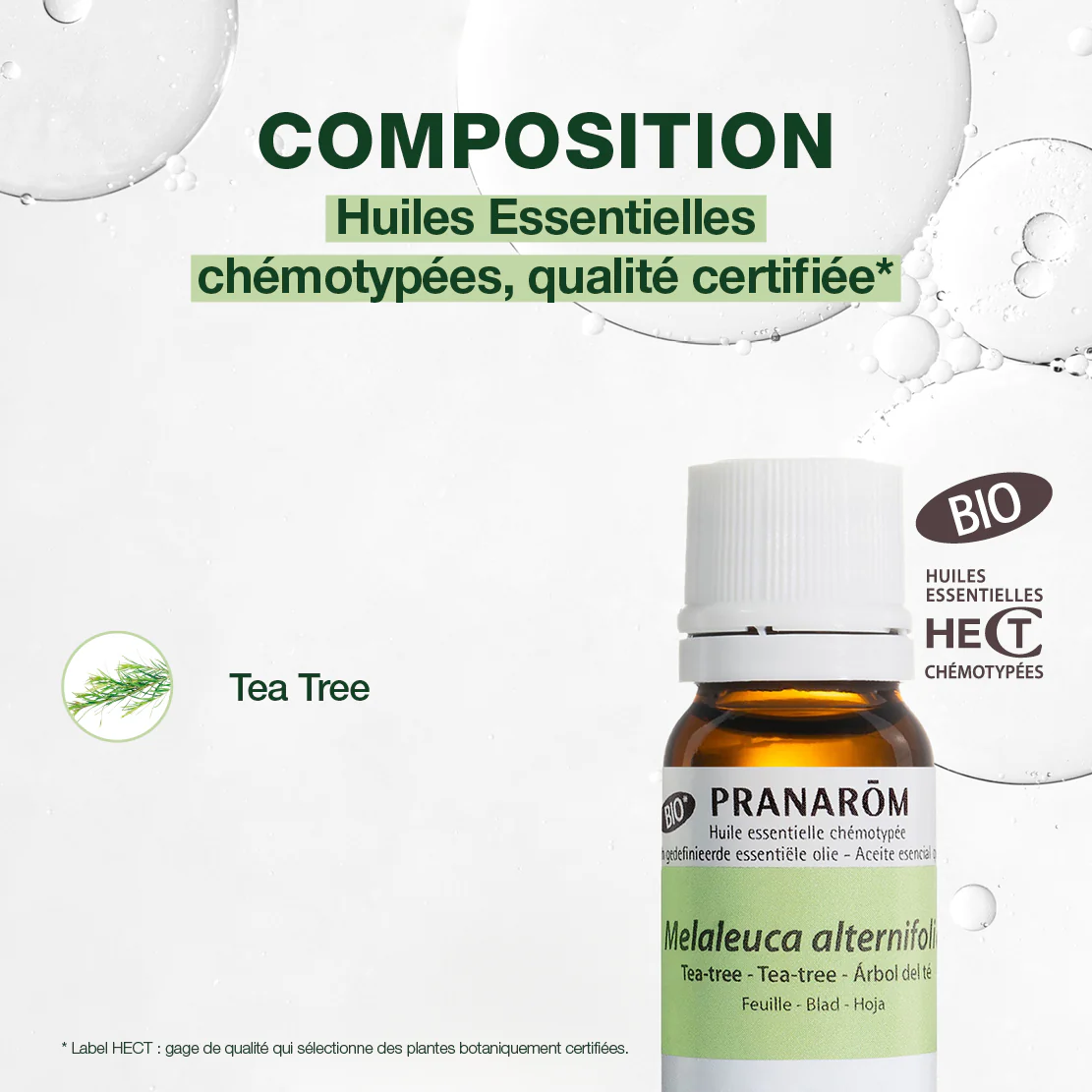 Huile Essentielle de Tea-tree - Bio - Image 3