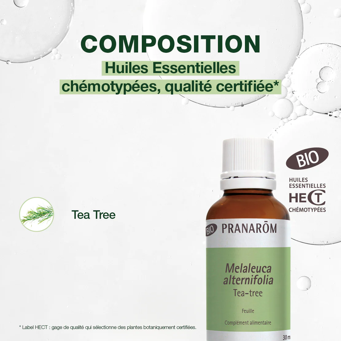 Huile Essentielle de Tea-tree grand format - Bio - Image 3
